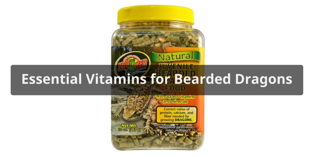 Essential Vitamins for Bearded Dragons